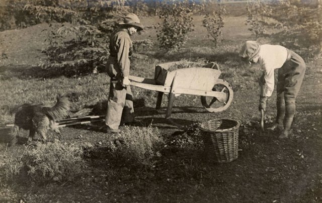 Land_Girls,_Basingstoke