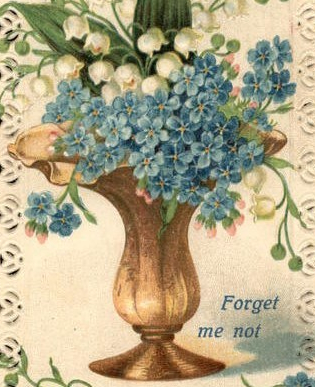 Forget-Me-Not Flowers